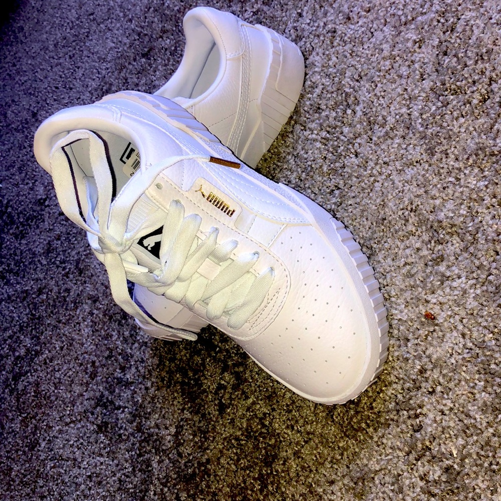 All white pumas